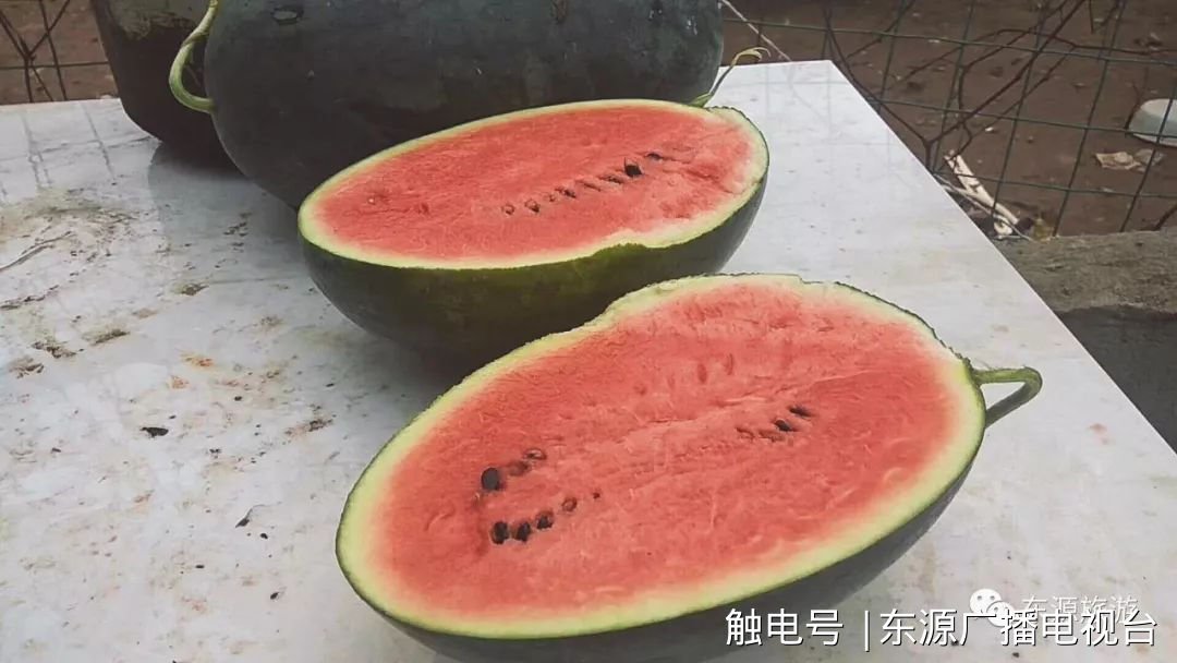24˫ڶ