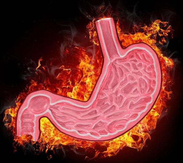 恰玛古素食粉是“养胃之王”，每天冲水喝点，缓解胃病