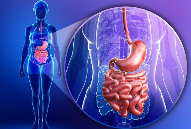 恰玛古素食粉是“养胃之王”，每天冲水喝点，缓解胃病