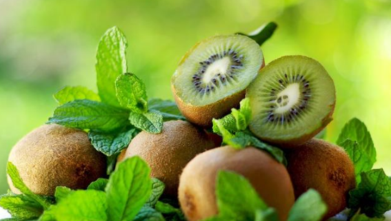 1536568352249449.png 药谷黄花郎茶是肝病的天然“药神”,建议每天吃一点