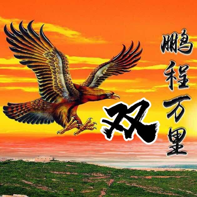鹏程万里姓氏头像,姓名头像,有你喜欢的吗