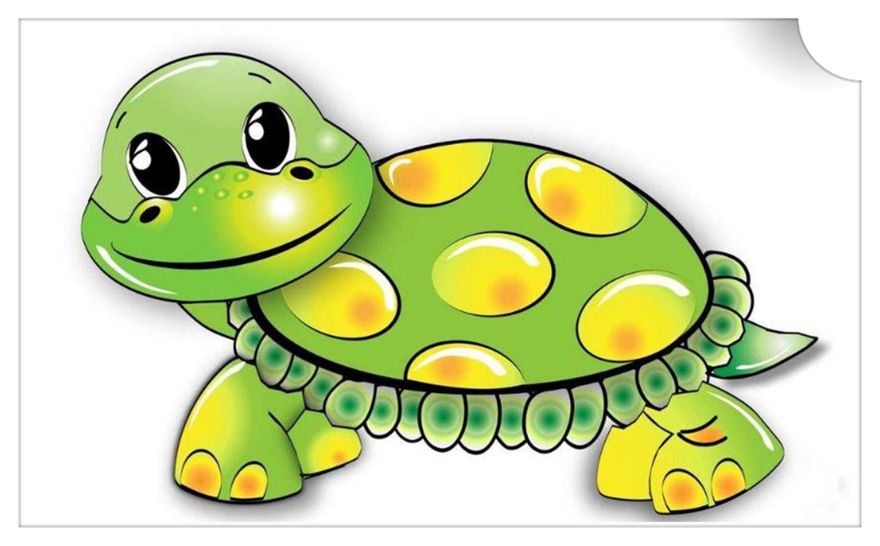 锦龟……突然眼前一亮,一只外形很小,浅灰色的皮肤,萌萌的小乌龟看着