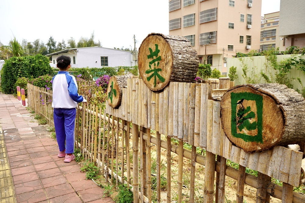 分布村道两侧的小菜园,成了乡村一景