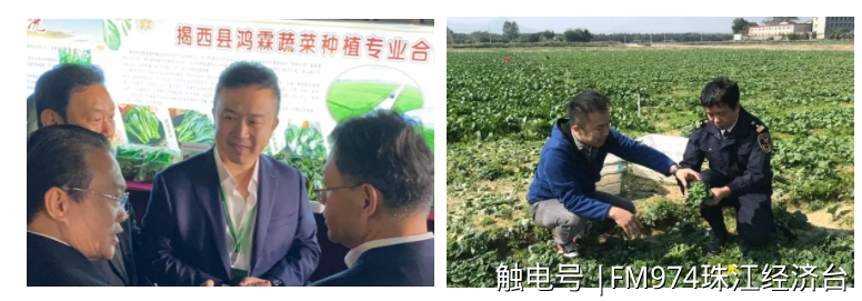 张海波和领导们讨论供港蔬菜食品安全;右图:张海波和海关人员在菜地 张海波和领导们讨论供港蔬菜食品安全;右图:张海波和海关人员在菜地