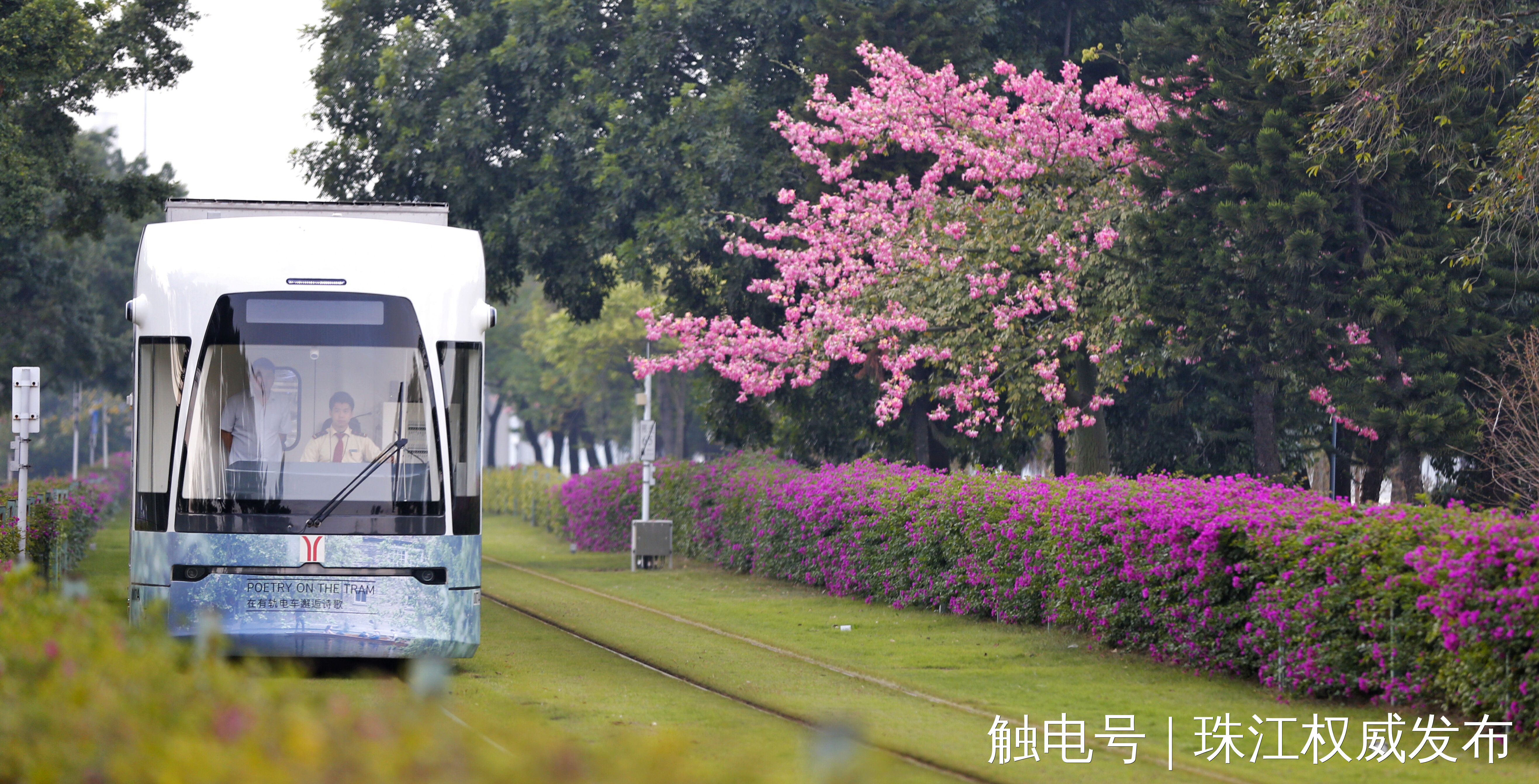 广州:有轨电车海珠试验段6年运客1886万人次