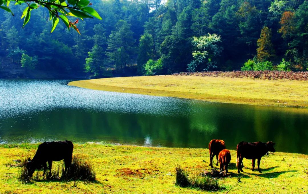 乐享云南|美景·临沧亮山天池