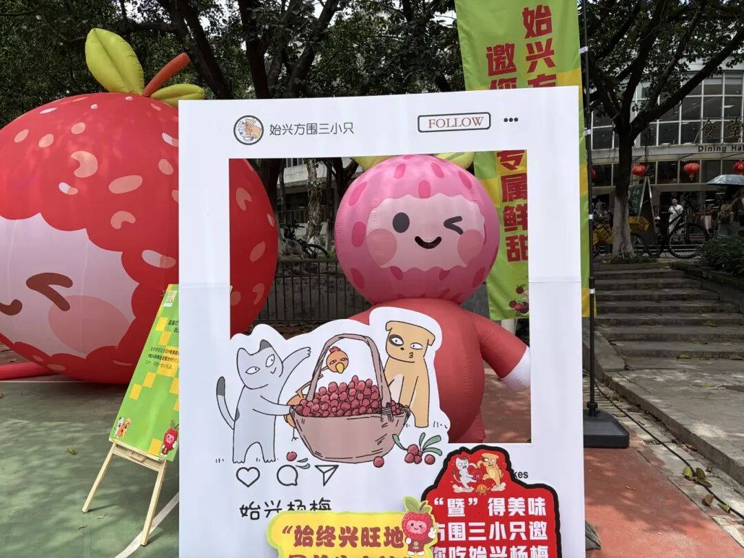 文章配图