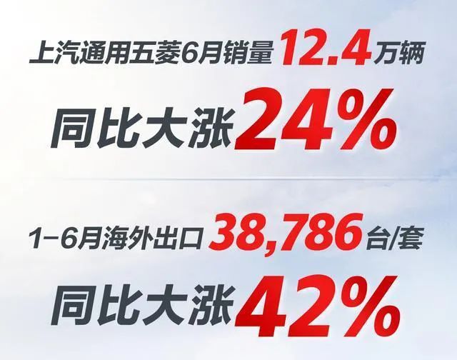 成绩出色但有短板，头部自主车企上半年销量点评，谁更值得骄傲？