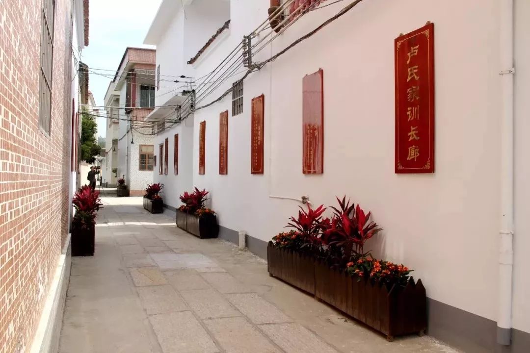 龙头村|四会龙甫镇龙头村：文明乡风浸润美丽乡村 绘就乡村新画卷