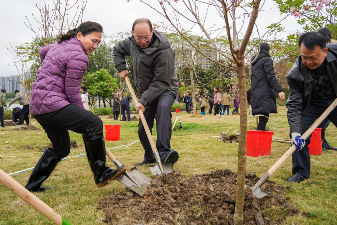 何健浩,梁健梅等市,两区领导,区法院院长,区检察院检察长,与肇庆新区