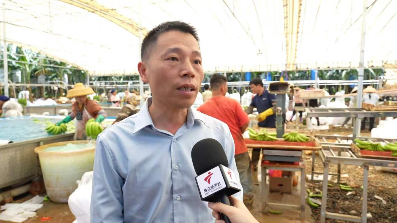 广东省农业农村厅帮扶处副处长孙雨才