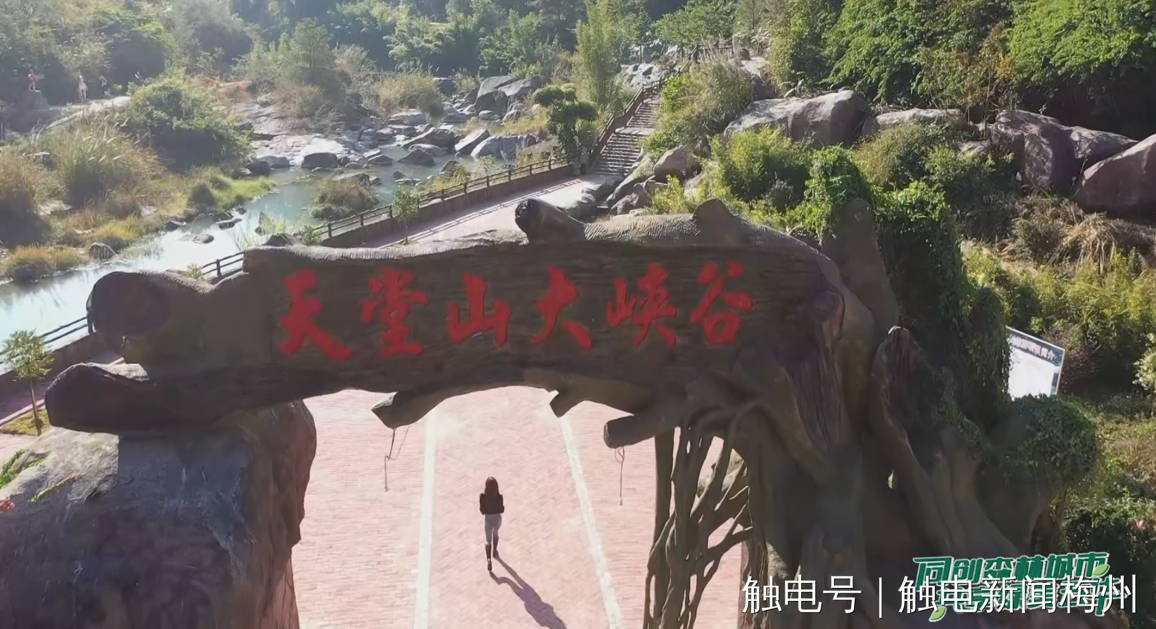 文章配图
