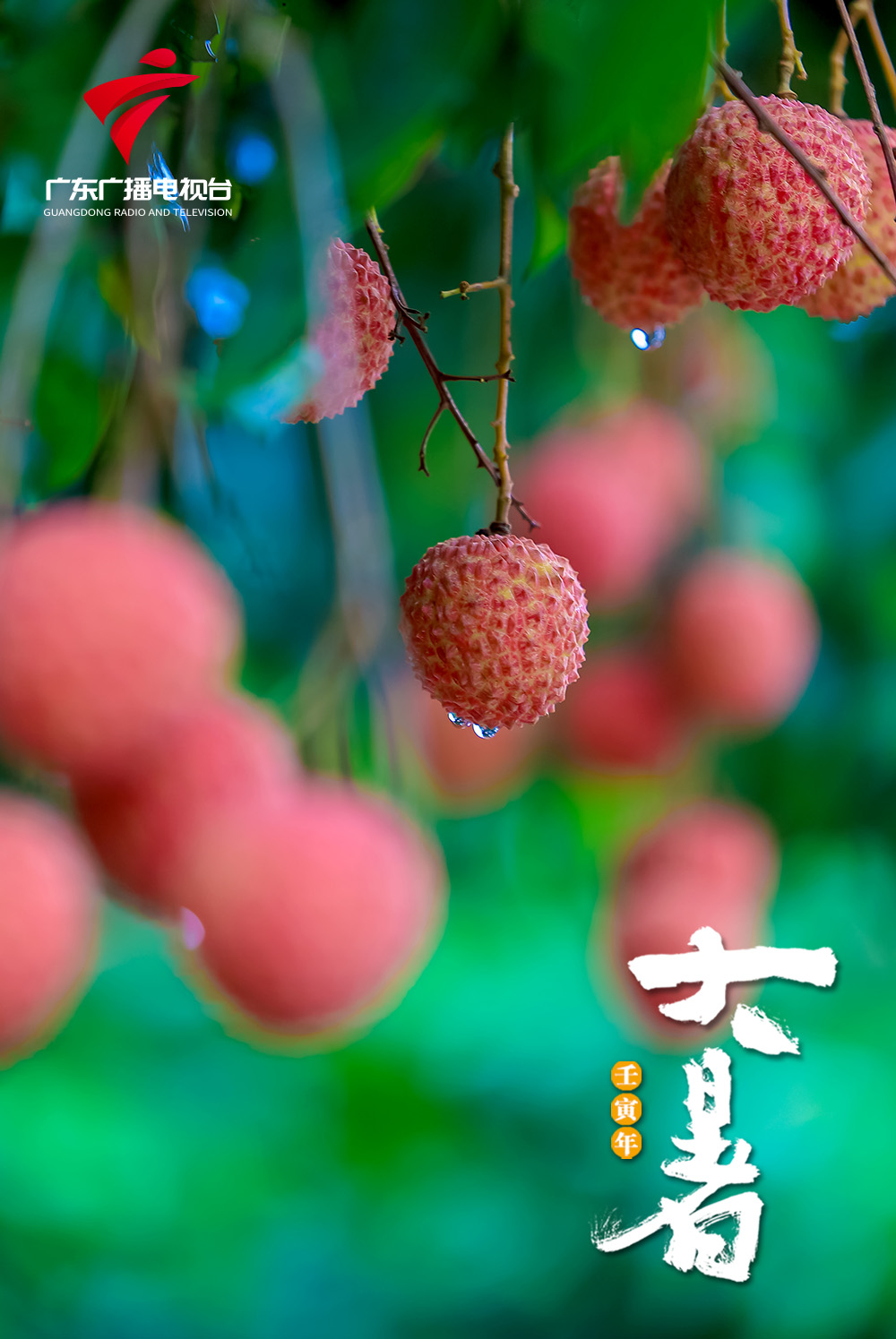 【文化传承】大暑，盛夏暑正浓！-广东台荔枝网