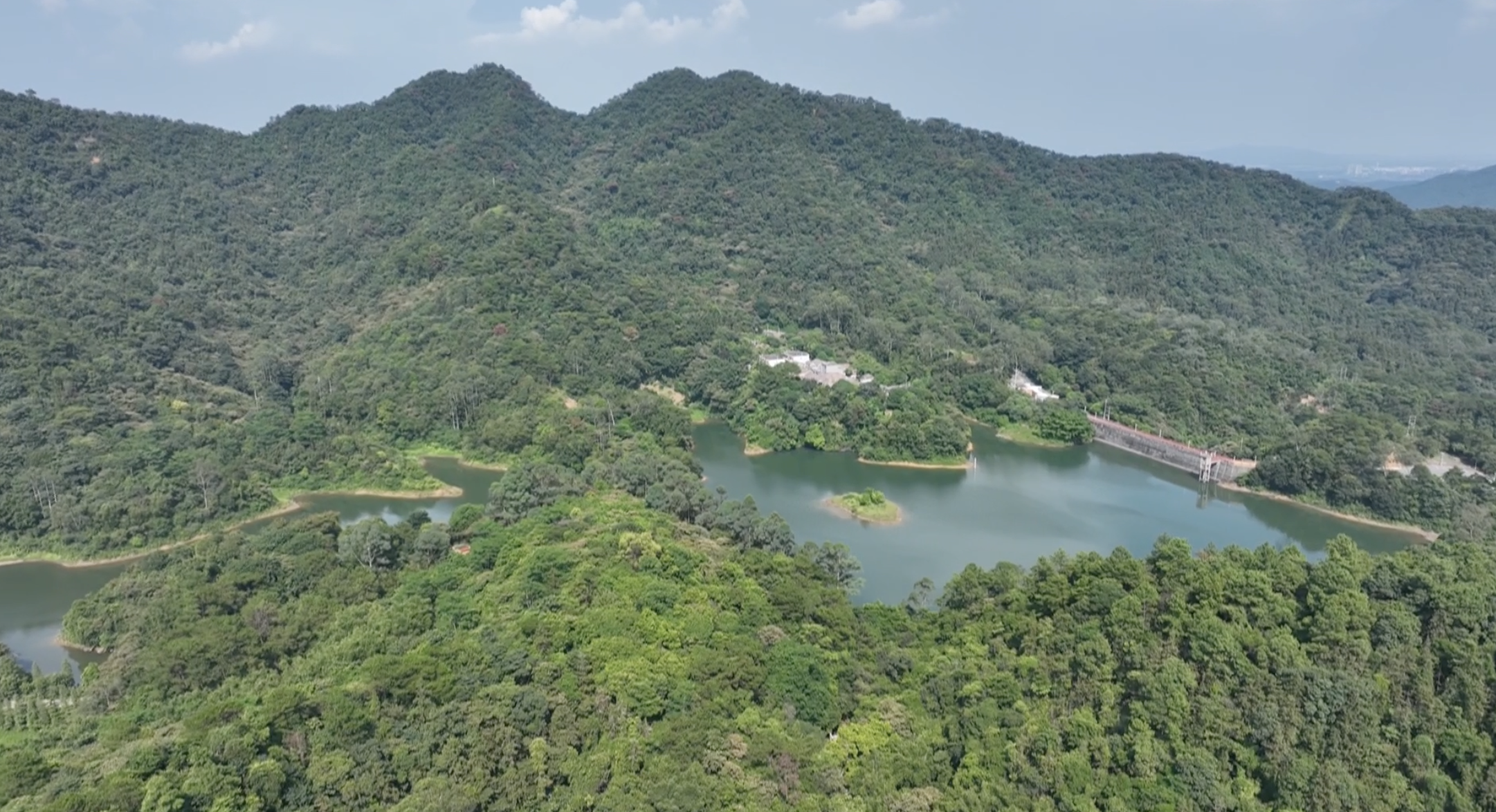 图源：佛山台
