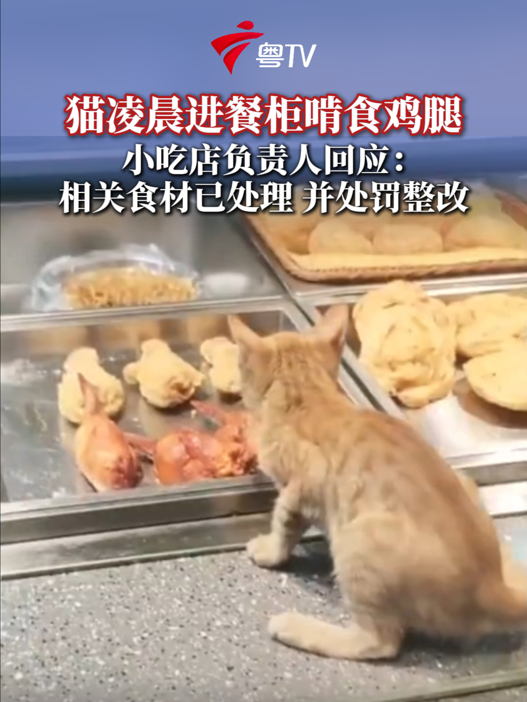 汇通达网络推动国补“下乡进镇”,助力乡镇店成交率提升超4成