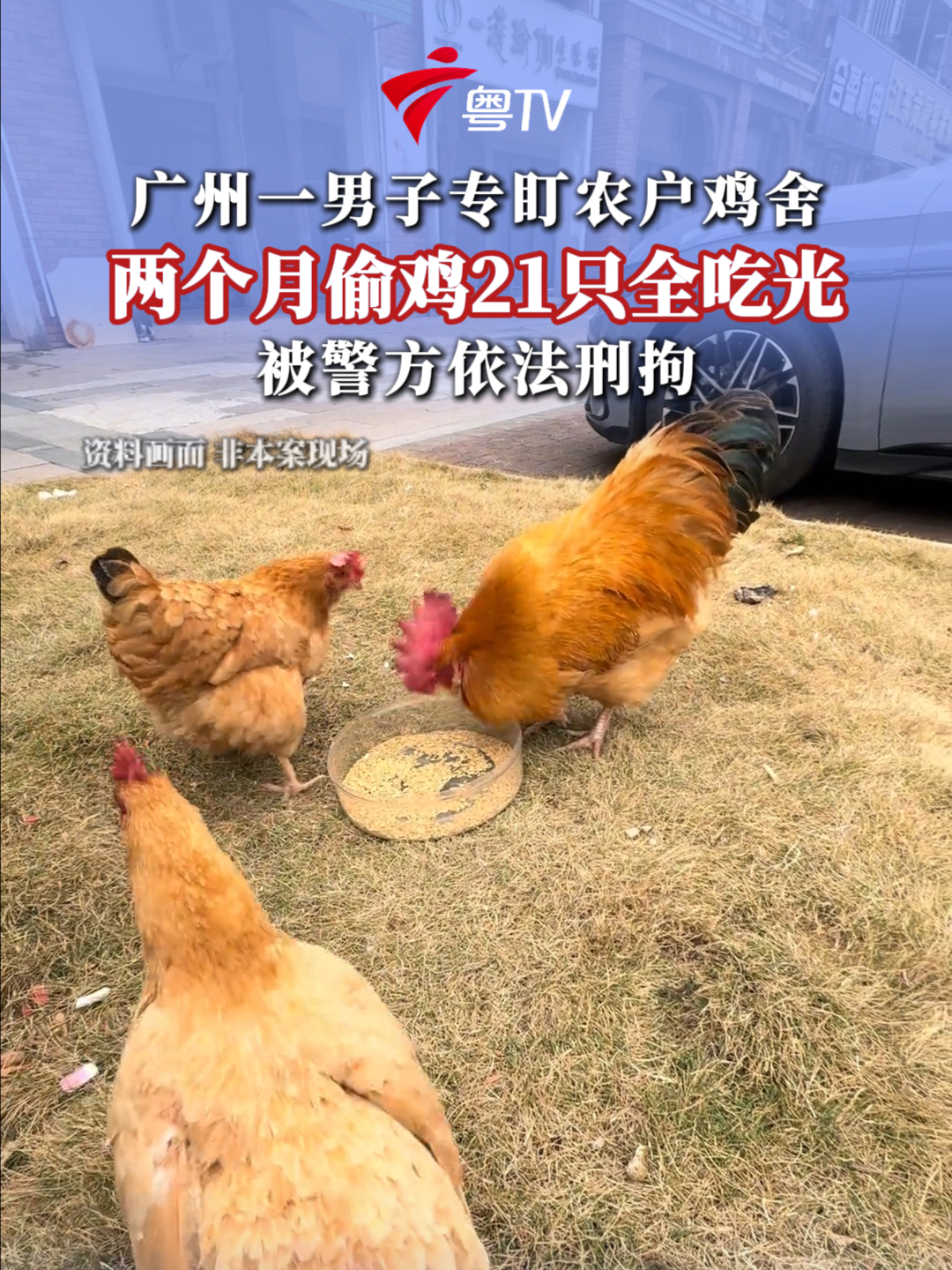 “小洛熙”家属称个人隐私和就医记录遭泄漏,已报警