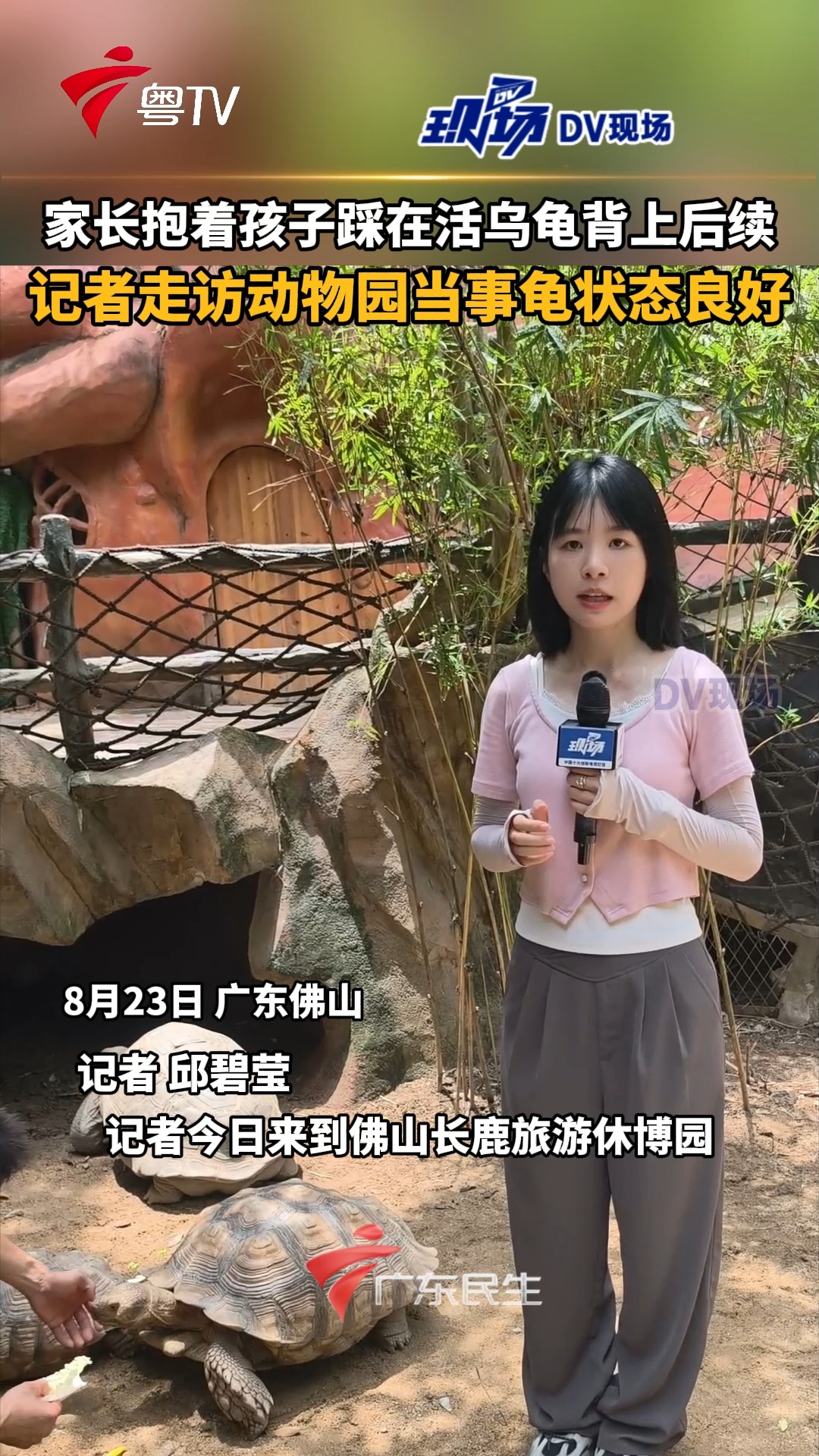 陈斌:轮椅碾过坎坷 讲台照亮文明