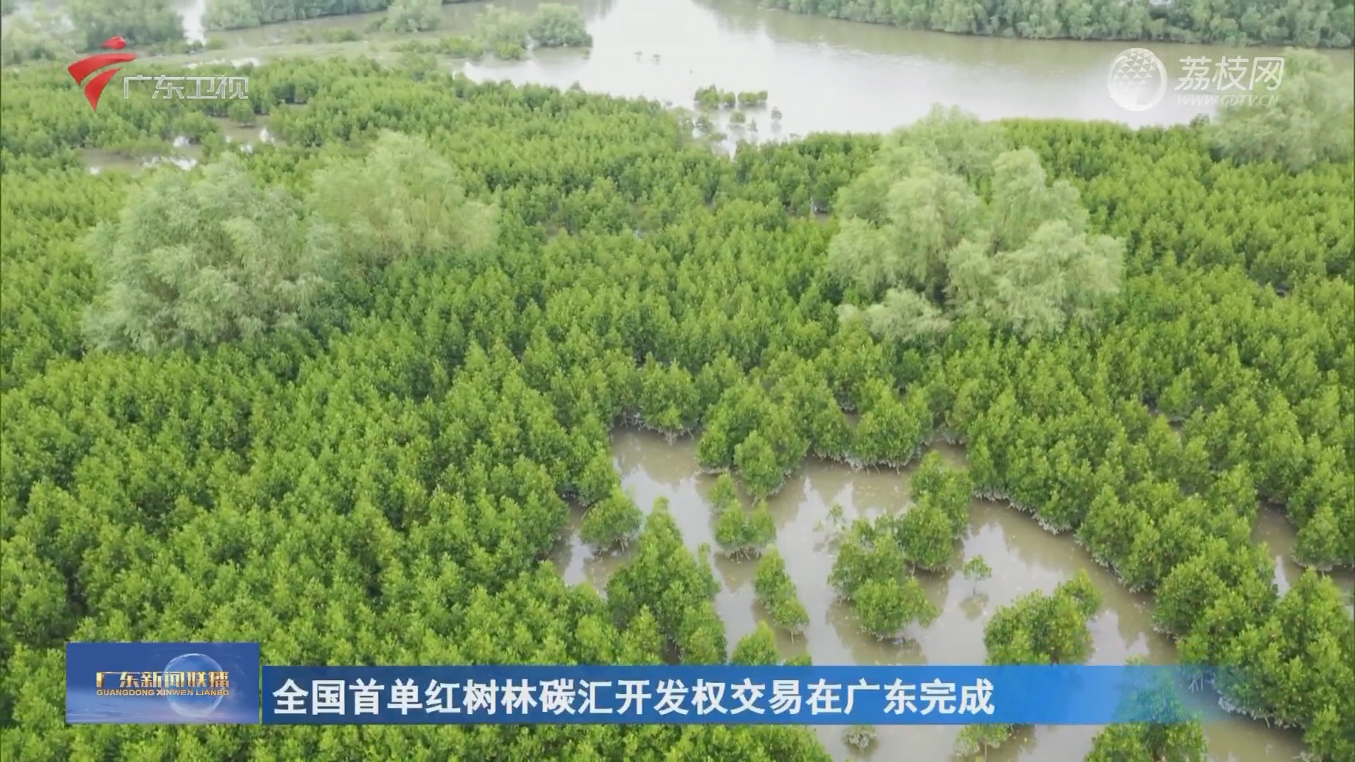 广东：逐梦航天 高端装备制造产业迈向国际化-荔枝网