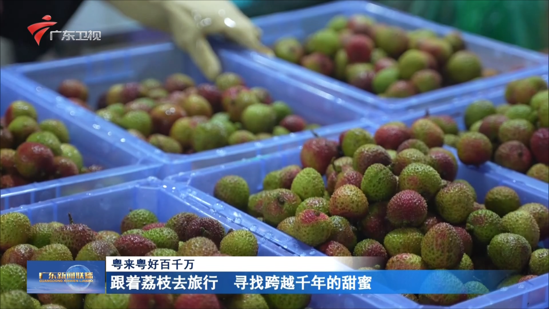 2025-02-16广东新闻联播-荔枝网