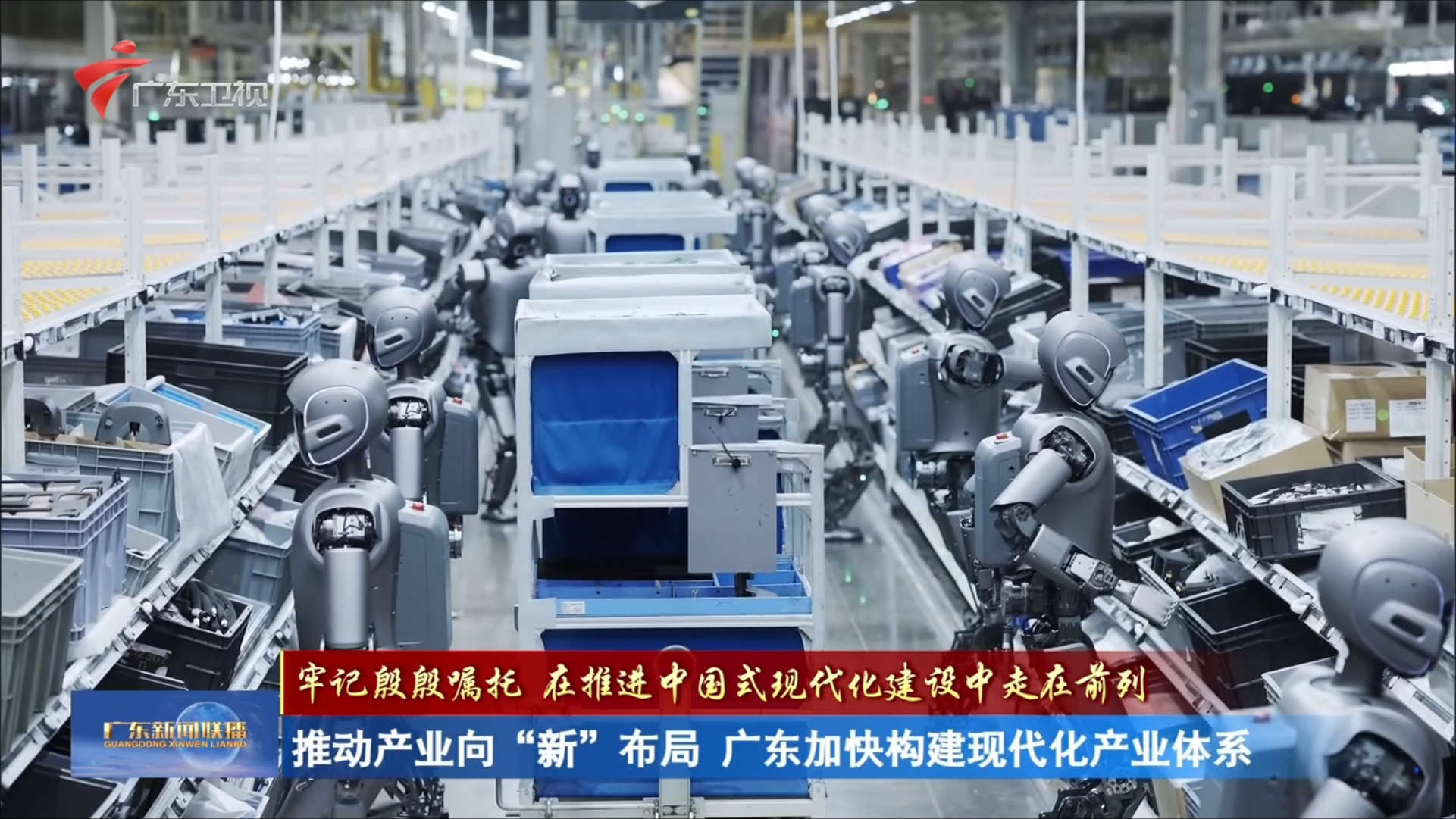 2025-09-06广东新闻联播-广东台荔枝网