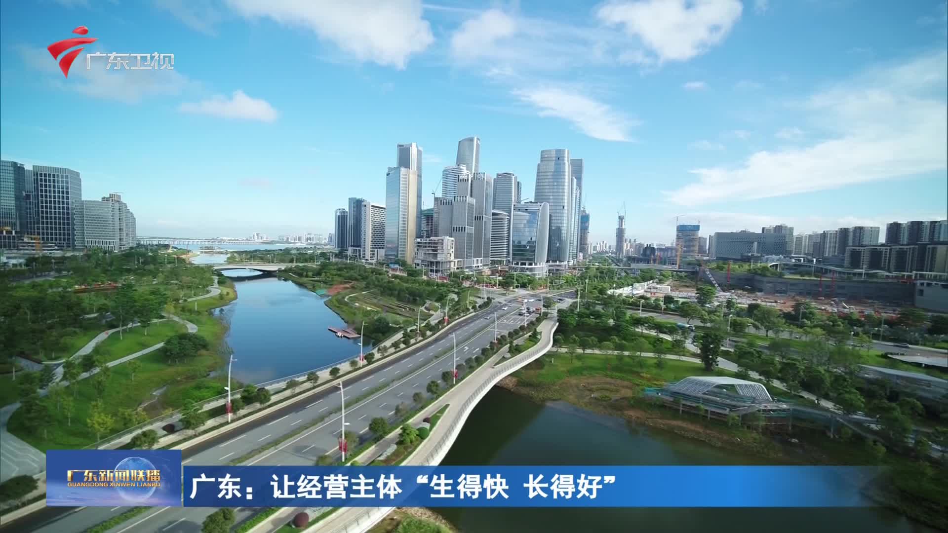 广东:让经营主体“生得快 长得好”-广东新闻联播-广东台荔枝网
