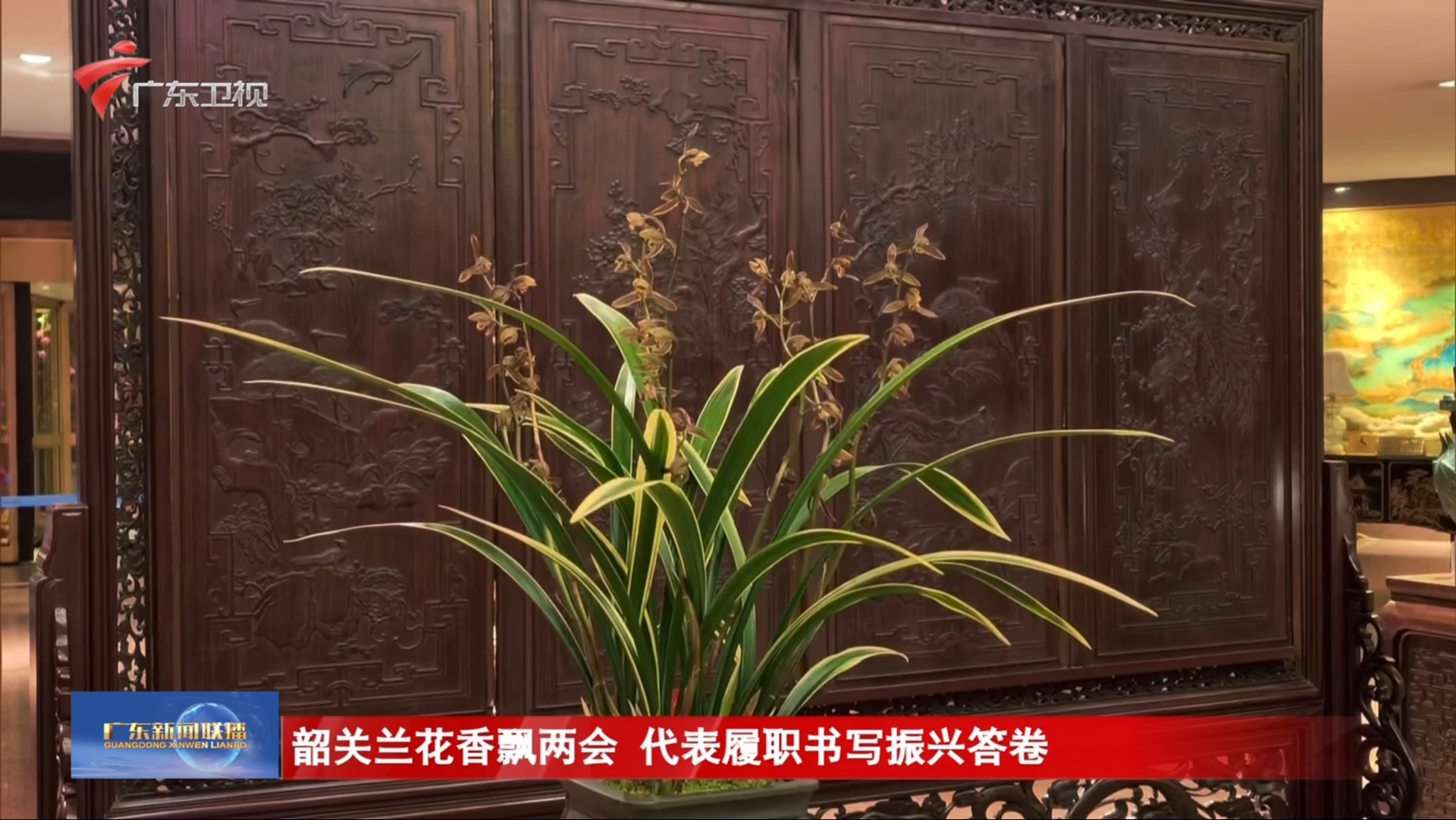 广东新闻联播-广东台荔枝网