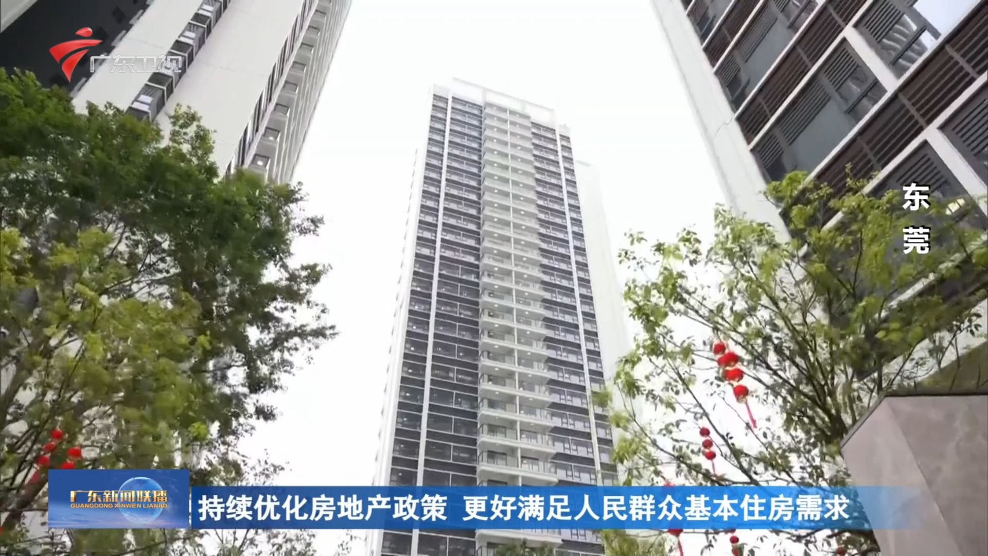 广东新闻联播-广东台荔枝网