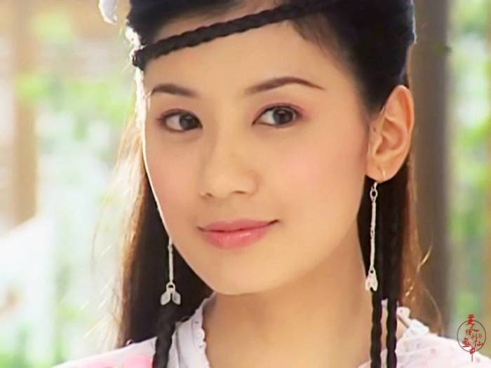 2003版《倚天屠龙记》饰演赵敏.