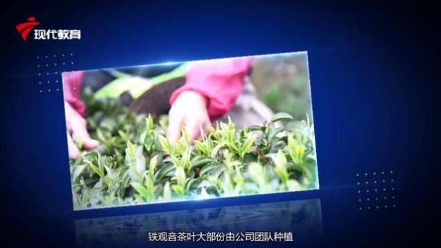 访谈 | 对话随山归品牌总经理 白明春