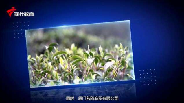 访谈 | 对话随山归品牌总经理 白明春