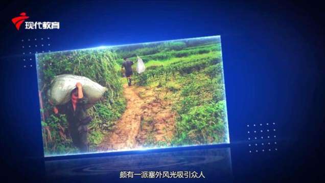 访谈 | 对话随山归品牌总经理 白明春