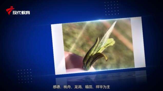 访谈 | 对话随山归品牌总经理 白明春