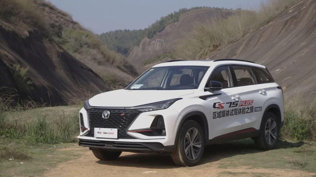 红海就代表没机会了？这几家车企有成功诀窍，快来学两招