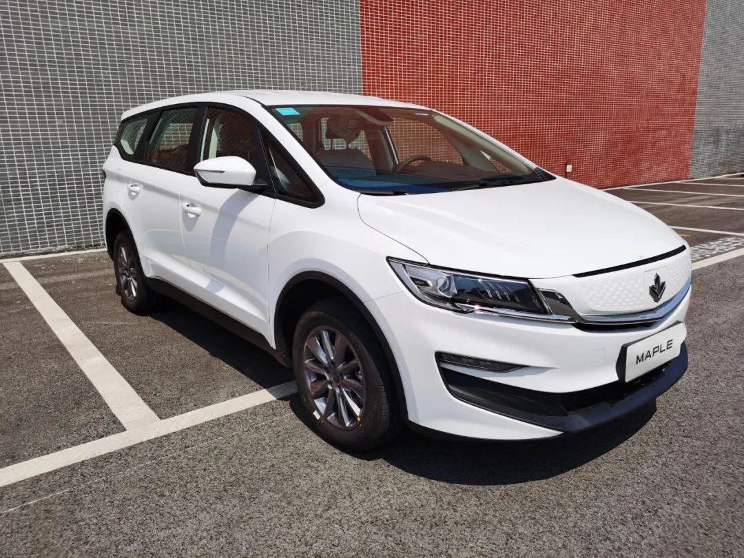 吉利/比亚迪/恒大等发力，未来纯电动MPV车型唯有两大归宿？