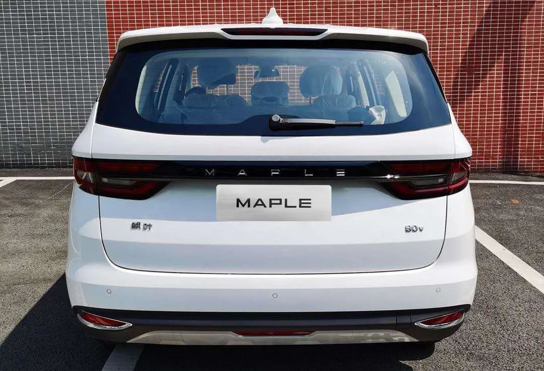 吉利/比亚迪/恒大等发力，未来纯电动MPV车型唯有两大归宿？