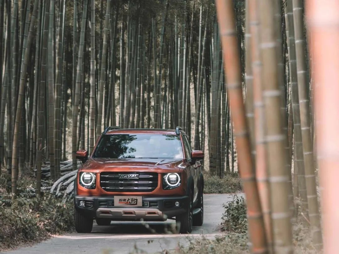 自主品牌8月销量表现出彩，吉利/长城/长安即将“大招”齐发