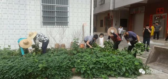 交通|高州市交通运输局彻底整治木林交通邨住宅区“六乱”现象