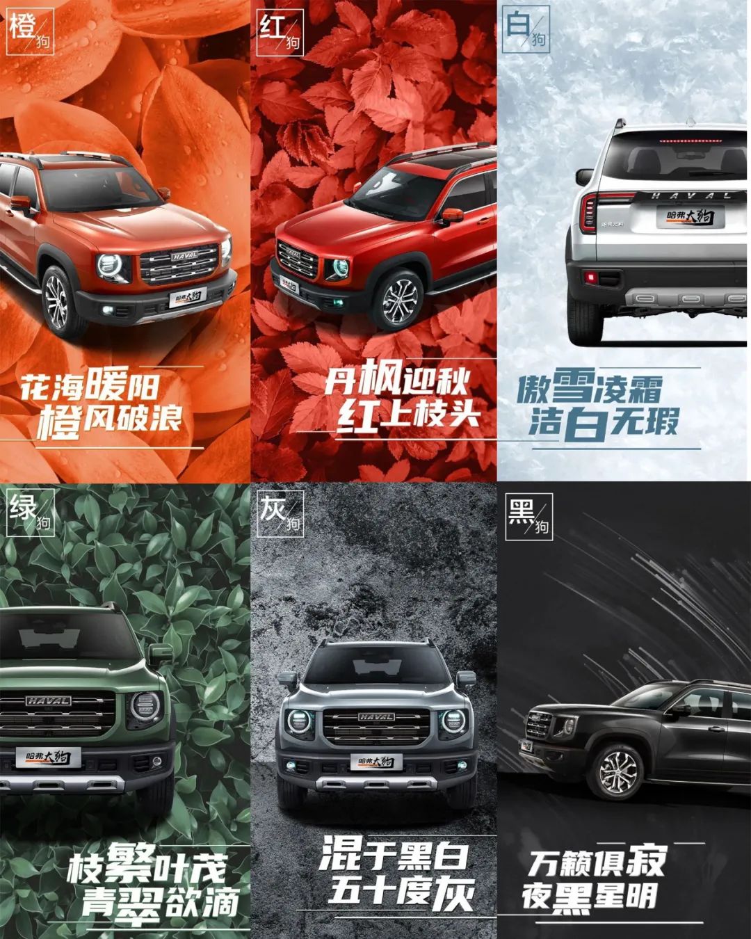 命名、设计不走寻常路，这几款新车趣味十足，不买也记得看看