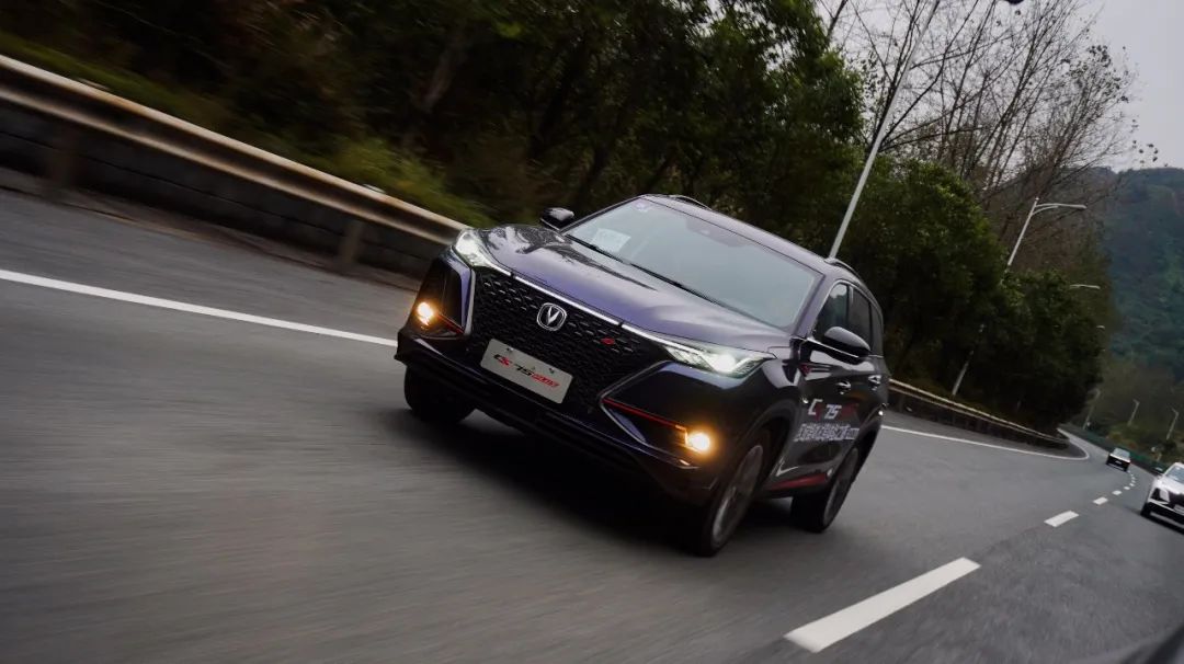 编辑部推荐｜2020年的“国产之光”