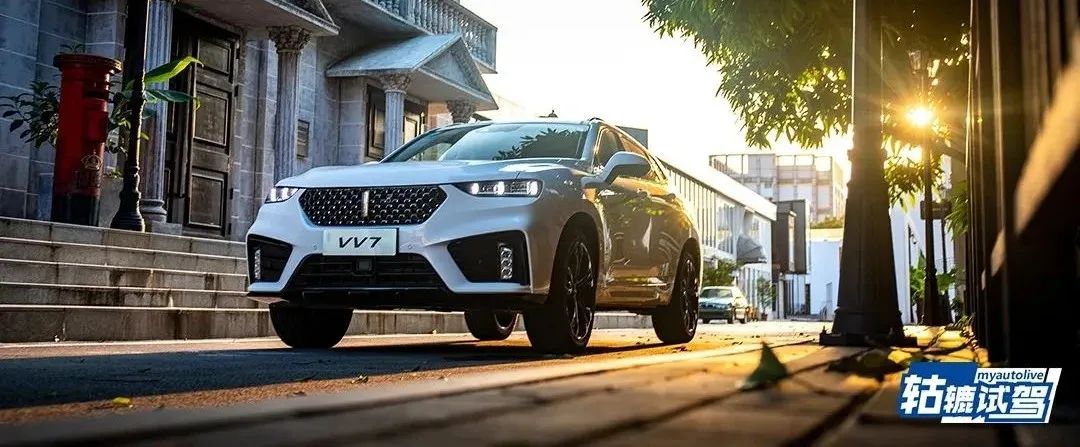 编辑部推荐｜2020年的“国产之光”