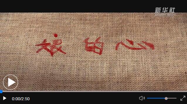 创意微视频娘的心