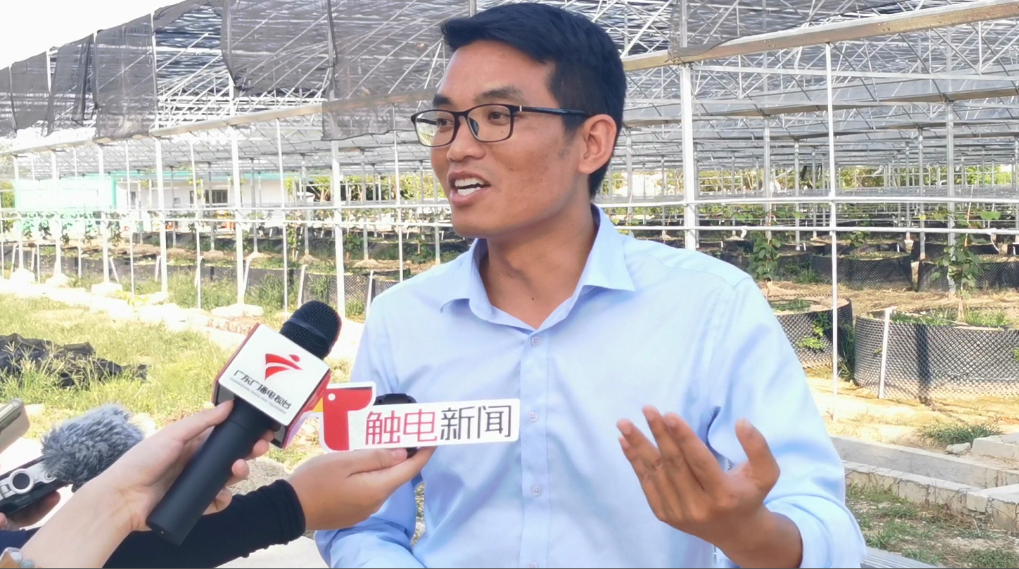 汕头市潮阳区天佳水果专业合作社经理 黄志力