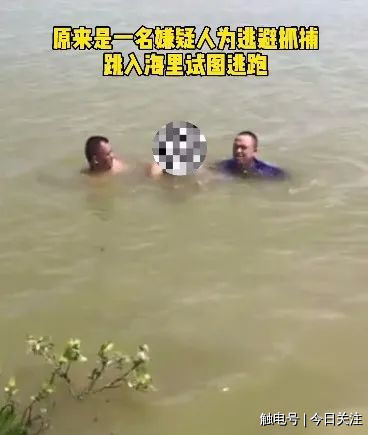 视频截图