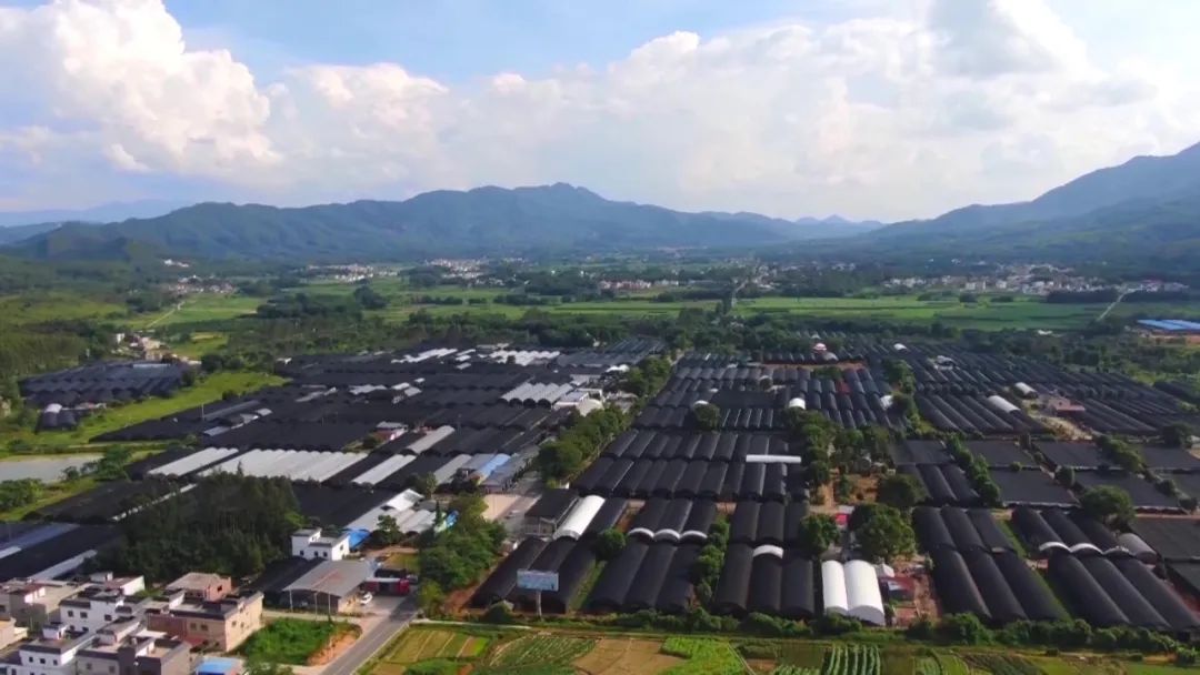 江尾兰花小镇入选中国特色小镇50强-翁源县人民政府