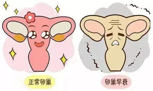 女子抗缪勒管激素amh仅为05ngml博医不孕不育专科出招助其好孕