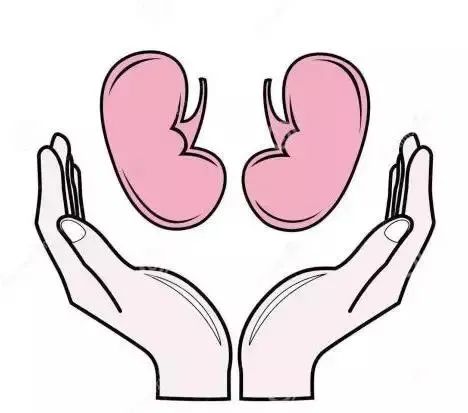 世界肾脏日停住这些事儿正在伤害你的肾