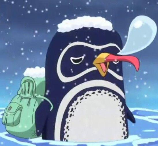 如果可以在《海贼王》中认领一只动物当宠物,你会选择谁呢? - acfun弹