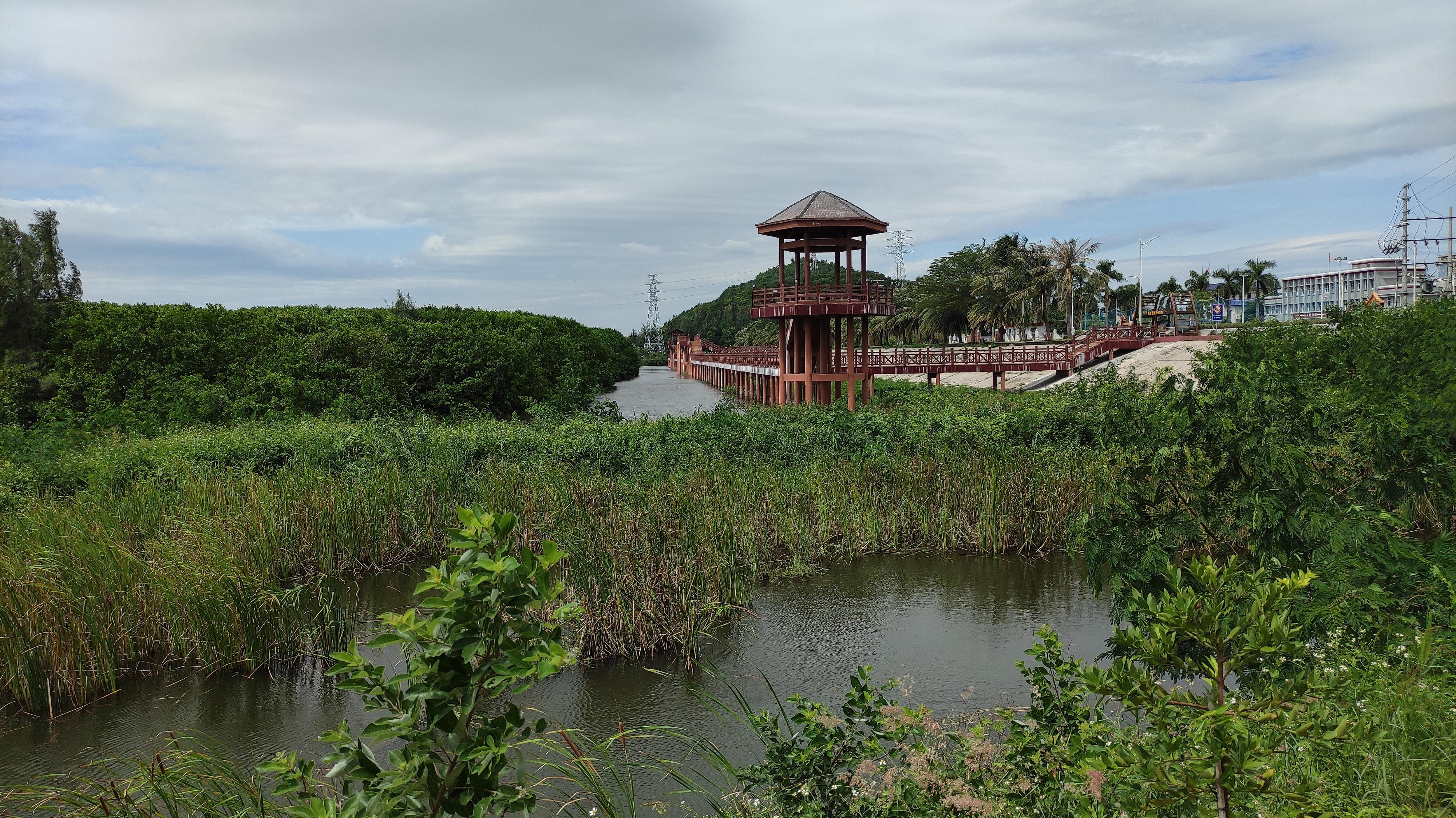 海宴镇青山咀海岸线生态修复整治项目成新晋网红打卡点