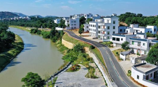 奋斗百年路 启航新征程·小康圆梦 茂名高州:元坝村的甜蜜生活-广东